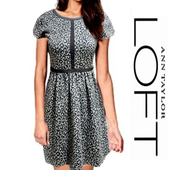 Loft Fit & Flare Gray Leopard Dress - Picture 1 of 7